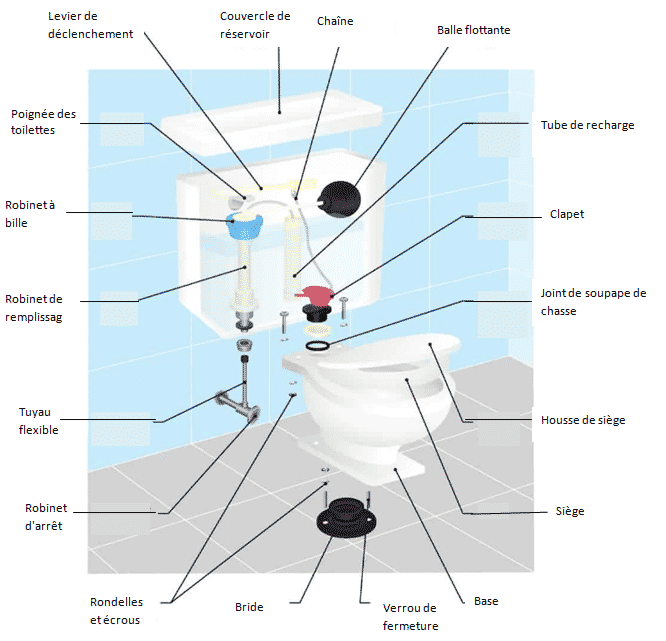 Quels Sont Les Diff rents Types De Toilettes Turques XFQS Quels Sont Les Diff rents Types De Toilettes Turques XFQS